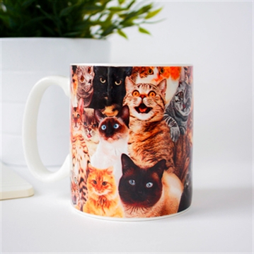 Crazy Cat Lady Mug