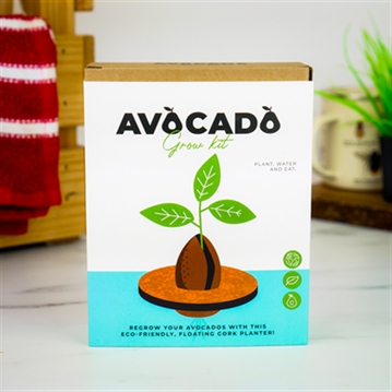 Avocado Grow Kit