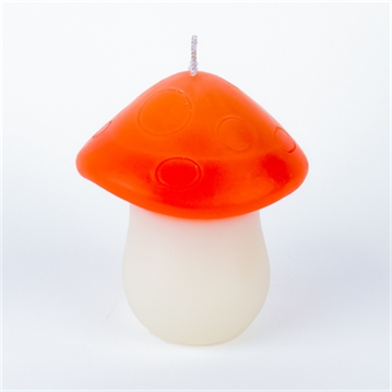 Mystic Mushroom Candle