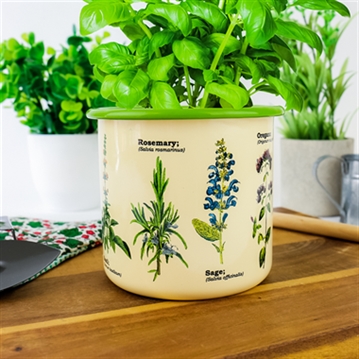 Herbs Plant Pot