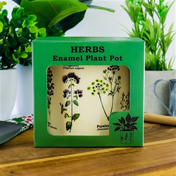 Herbs Plant Pot