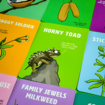 Don’t Be a Dik Dik Card Game