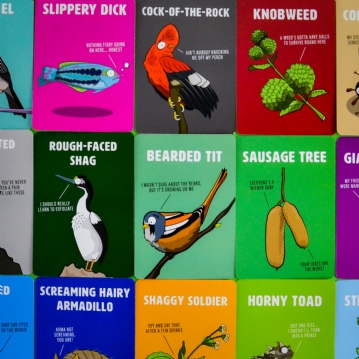 Don’t Be a Dik Dik Card Game