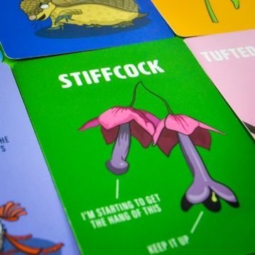 Don’t Be a Dik Dik Card Game