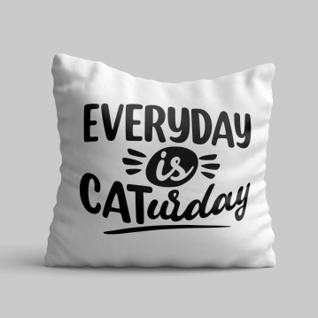 Everyday is Caturday Cushion