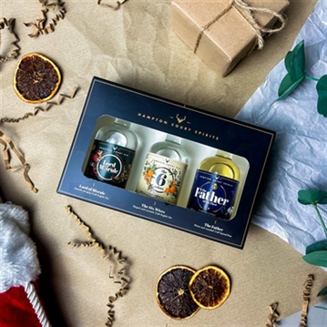 Hampton Court Spirits Mini Taster Craft Gin & Rum Gift Set