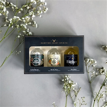 Hampton Court Spirits Mini Taster Craft Gin & Rum Gift Set