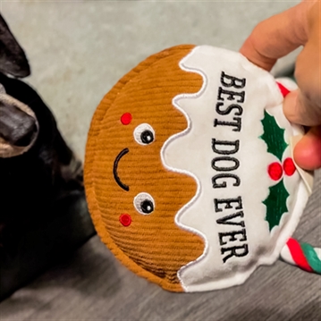 Christmas Pudding Slogan Dog Toys
