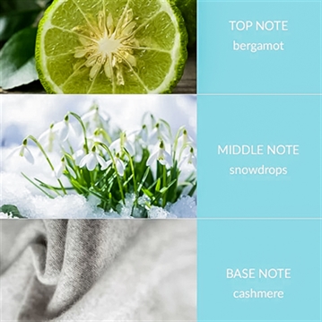 Christmas Fragrance Diffusers