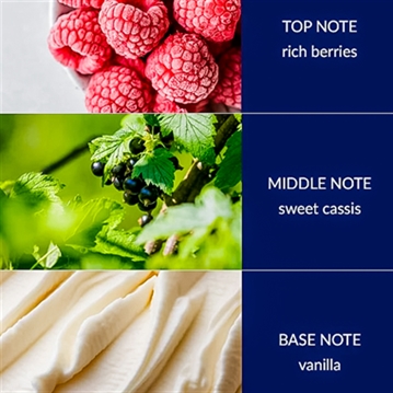 Christmas Fragrance Diffusers