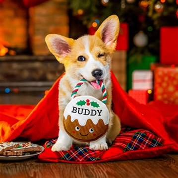 Named Christmas Pudding Dog Toys