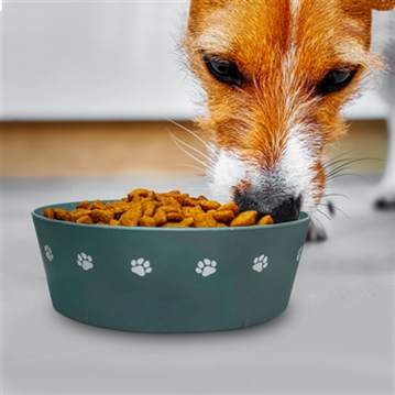 "A House is not a Home" Dog Bowl