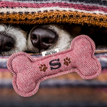 Initial Squeaky Dog Toys