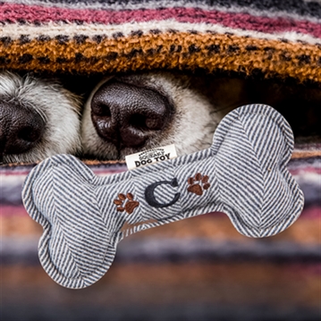 Initial Squeaky Dog Toys