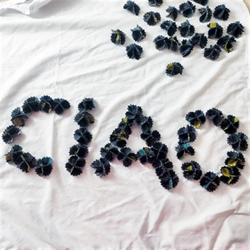 Become a Pasta Artist