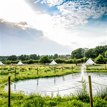 Luxury Under the Stars with Breakfast, Wine Tasting and Tour