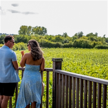 Luxury Under the Stars with Breakfast, Wine Tasting and Tour