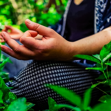 Yoga and Forest Bathing Day Retreat near Brighton