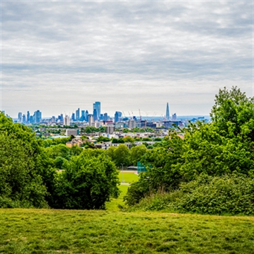 Forage in London - The Edible City