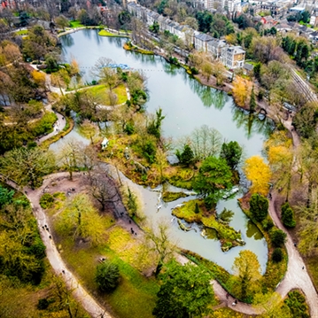 Forage in London - The Edible City