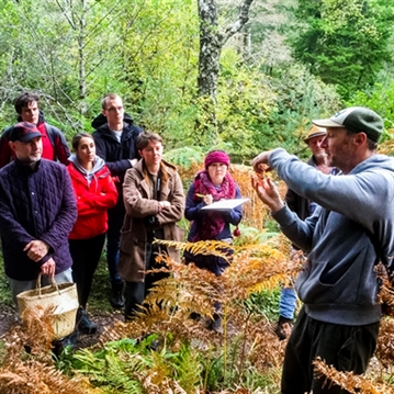 Forage in London - The Edible City