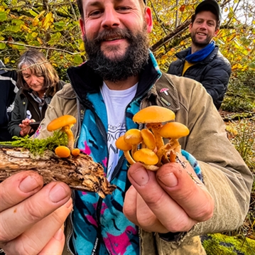 Forage in London - The Edible City