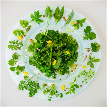 Forage in London - The Edible City