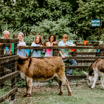 Abstract Art Classes in London