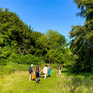 Forage & Feast Experience in Brighton