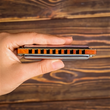 Harmonica Masterclass for Two