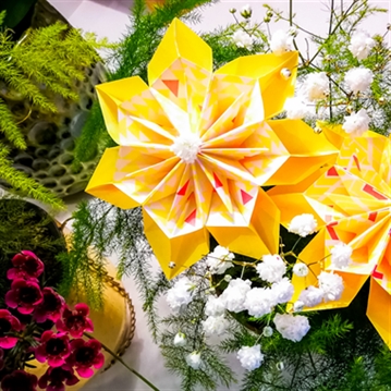 Become an Origami Master - For Two