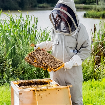 Hiver's Rural Beekeeping and Beer Tasting