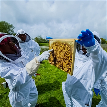 Hiver's Rural Beekeeping and Beer Tasting