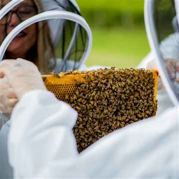 Hiver's Rural Beekeeping and Beer Tasting