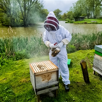 Hands-On Beekeeping & Craft Beer Tasting in London