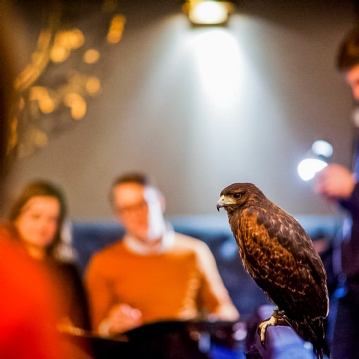 Wild Life Drawing in London - For Two