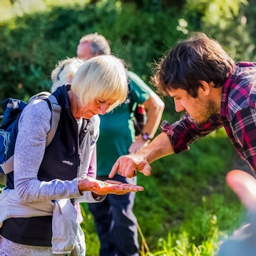 Wild Foraging Experience & Seasonal Feast