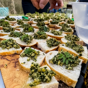 Wild Foraging Experience & Seasonal Feast