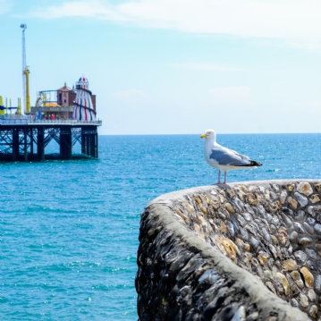 Brighton Street Photography Workshop