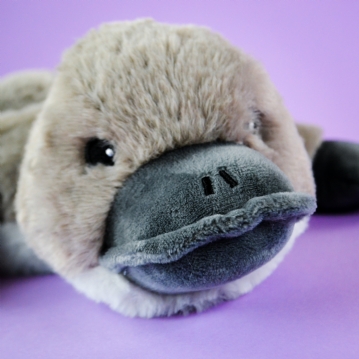 Warmies Platypus Microwaveable Plush