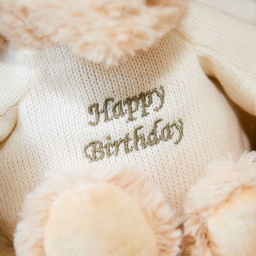 Warmies 9''  Happy Birthday Microwaveable Plush Bear