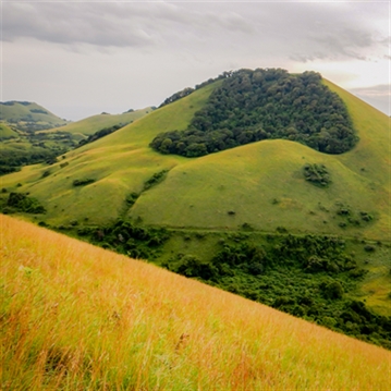 NatureEye Remote Drone Experience