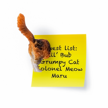 Set of 6 Cat Butt Magnets