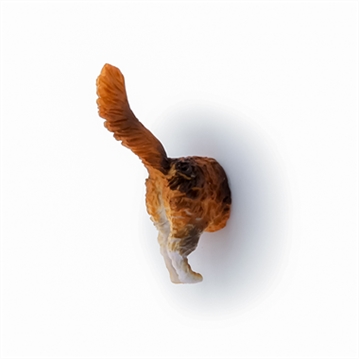 Set of 6 Cat Butt Magnets