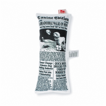 Fake News Dog Toy