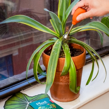 Plant Care Tin