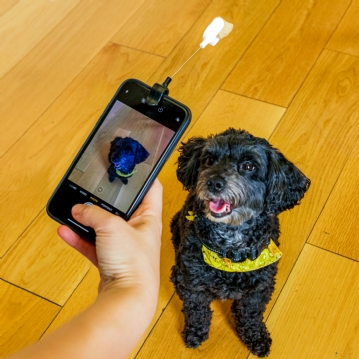 Dog Treat Selfie Clip