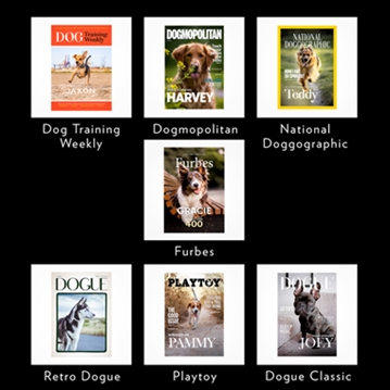 Personalised Pet Magazine Prints