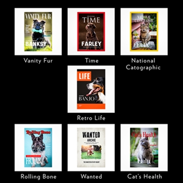 Personalised Pet Magazine Prints