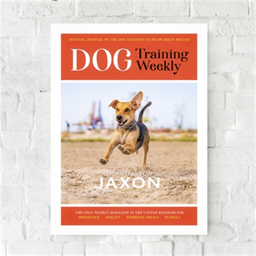 Personalised Pet Magazine Prints